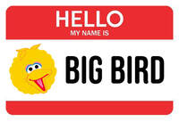 HELLO MY NAME IS BIG BIRD